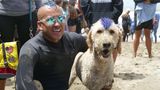 World Dog Surfing Champion Ships