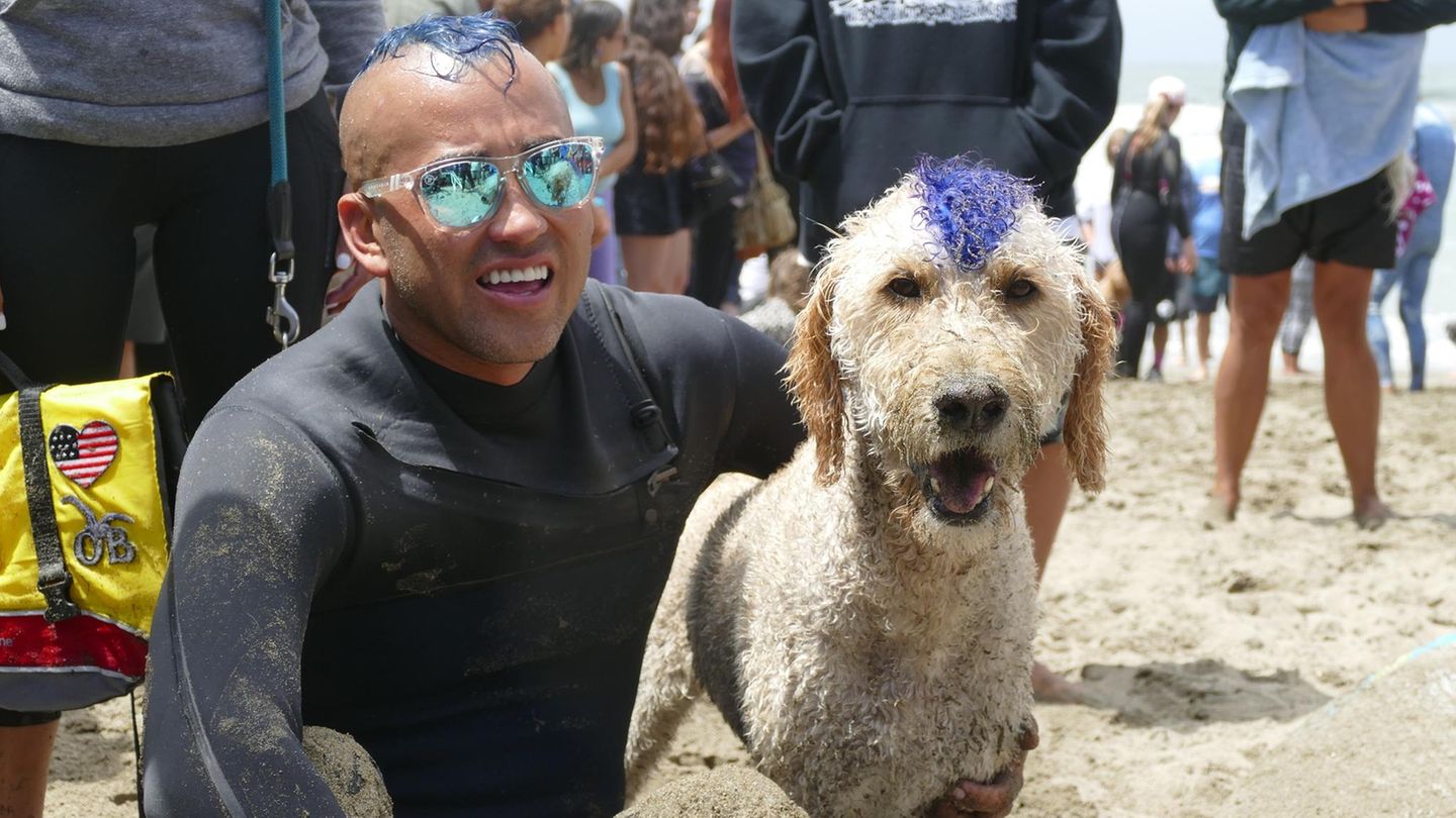 World Dog Surfing Champion Ships