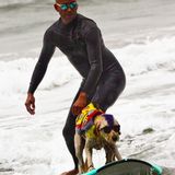 World Dog Surfing Championships
