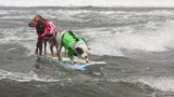 World Dog Surfing Championships