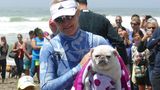World Dog Surfing Championships