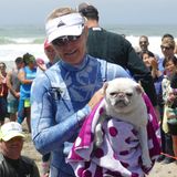 World Dog Surfing Championships