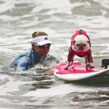 World Dog Surfing Championships