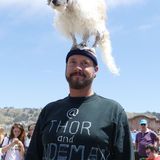 World Dog Surfing Championships