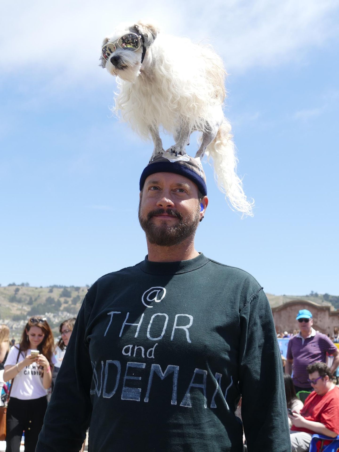 World Dog Surfing Championships