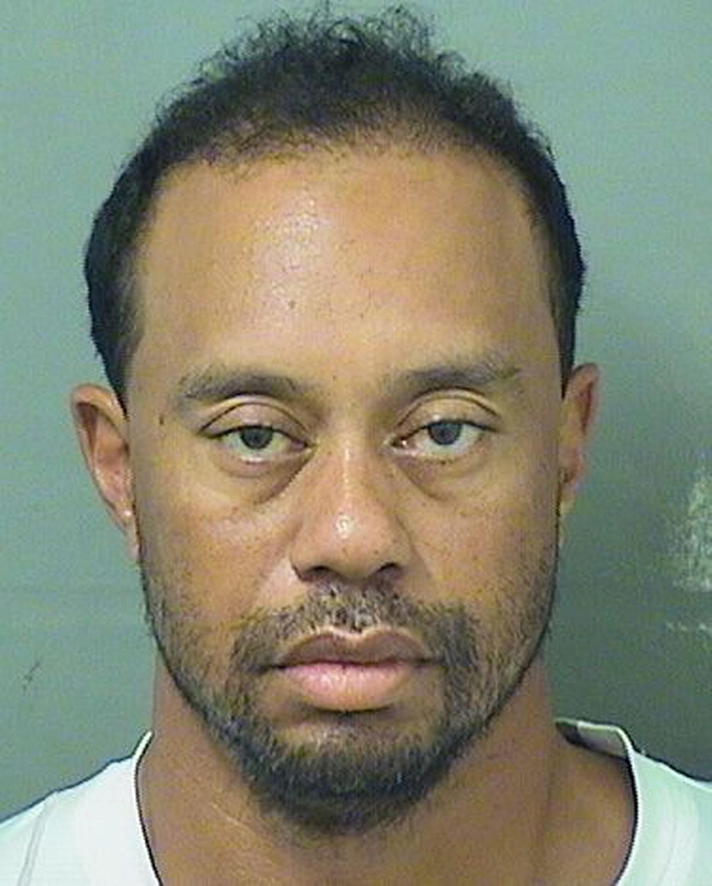 Tiger Woods Tiger Woods