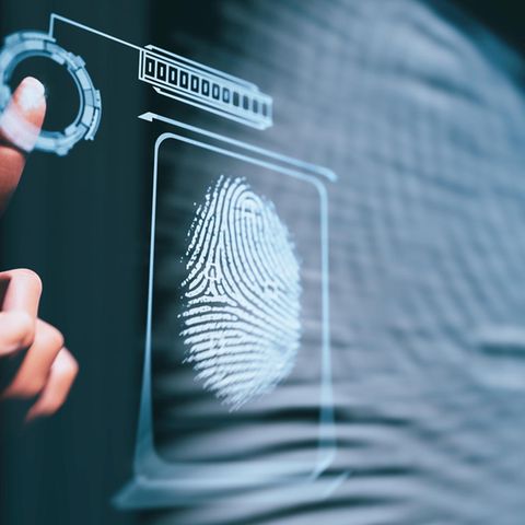 Biometrische Daten wie der Fingerabdruck lassen sich extrem leicht erbeuten