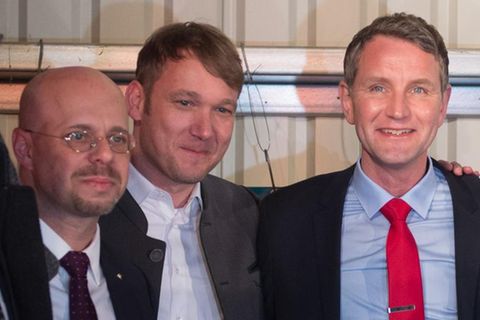 Andreas Kalbitz, André Poggenburg, Björn Höcke