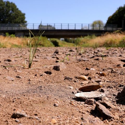 Heißzeit droht: Ausgetrocknetes Flussbett in Brandenburg