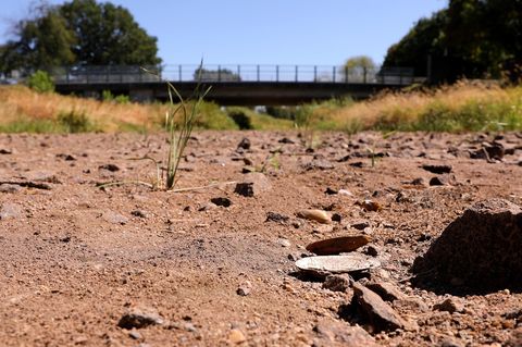Heißzeit droht: Ausgetrocknetes Flussbett in Brandenburg