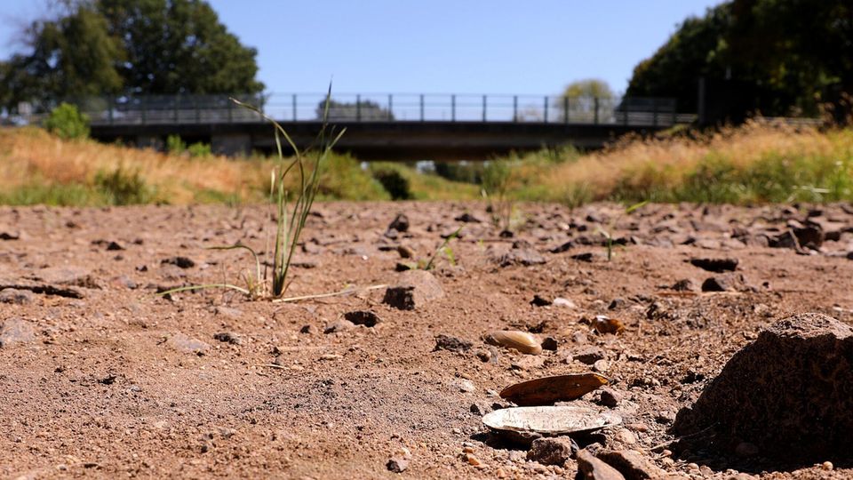 Heißzeit droht: Ausgetrocknetes Flussbett in Brandenburg