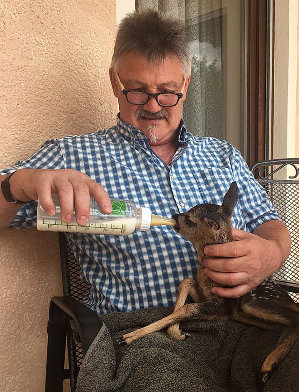 Fütterung per Hand: Werner Frank Fütterung per Hand: Werner Frank