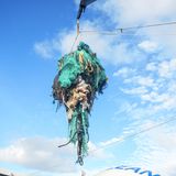 Im Müllgürtel stößt man überall auf Ballungen von Platikmüll.