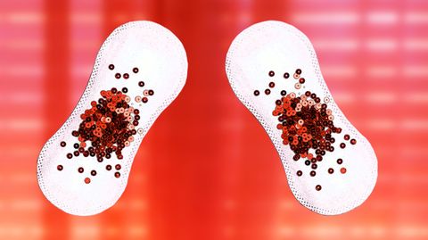 "Erdbeerwoche", "rote Woche" oder einfach nur "diese Zeit im Monat": Wie offen gehen wir eigentlich mit dem Thema Menstruation heute um?
