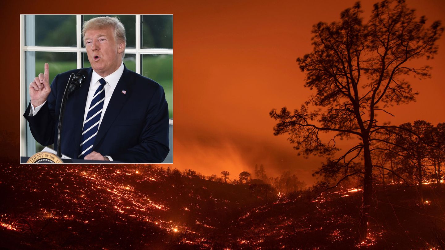 US-Präsident Donald Trump verwirrt mit seinen Tweets zu kalifornischen Waldbränden