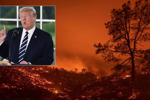 US-Präsident Donald Trump verwirrt mit seinen Tweets zu kalifornischen Waldbränden