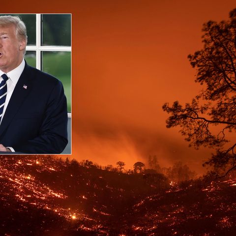 US-Präsident Donald Trump verwirrt mit seinen Tweets zu kalifornischen Waldbränden