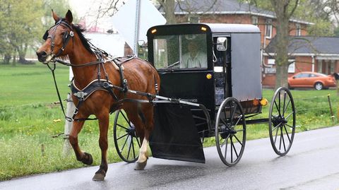 Amish Uber Buggy