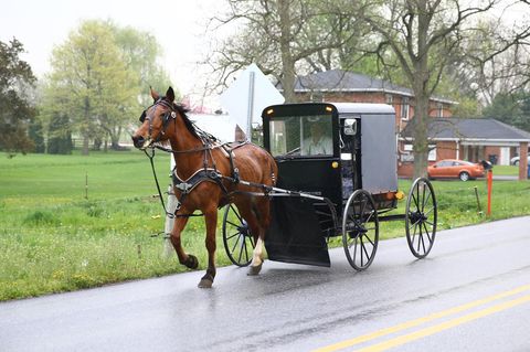 Amish Uber Buggy