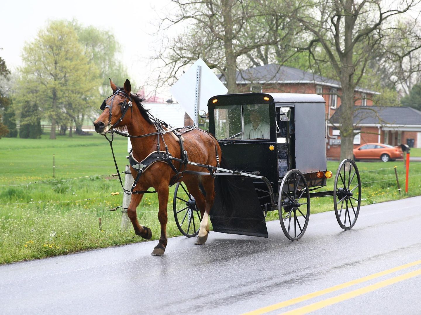 Amish Uber: Das wohl ungewöhnlichste Taxi der USA | STERN.de