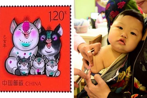 Die Schweine-Familie könnte eine neue Familien-Politik in China ankündigen