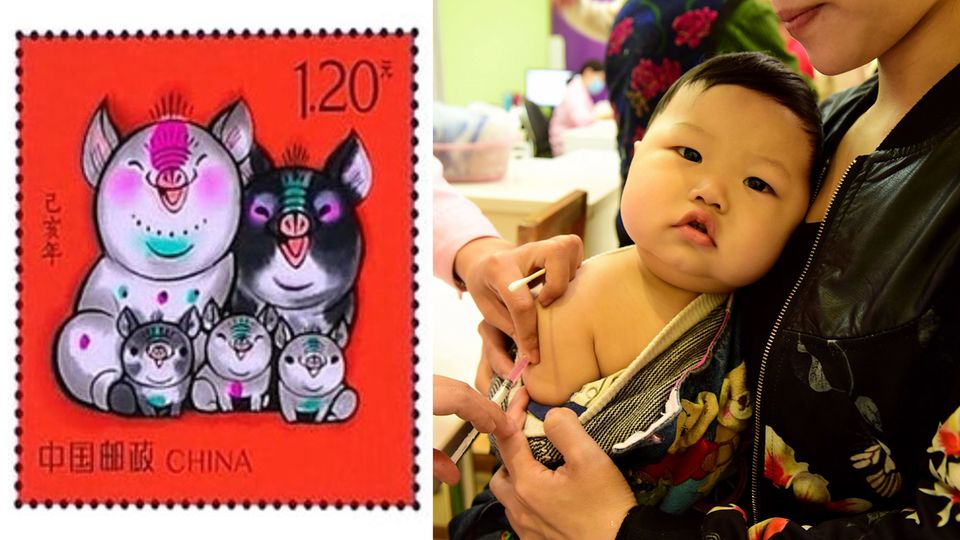 Die Schweine-Familie könnte eine neue Familien-Politik in China ankündigen