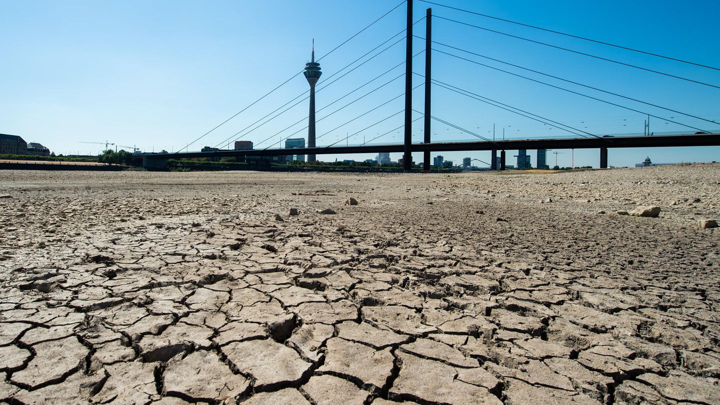 Nordrhein-Westfalen, Düsseldorf: Die Erde im Flussbett des Rheins ist aufgrund der Dürre ausgetrocknet und aufgerissen.