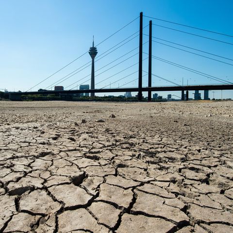 Nordrhein-Westfalen, Düsseldorf: Die Erde im Flussbett des Rheins ist aufgrund der Dürre ausgetrocknet und aufgerissen.
