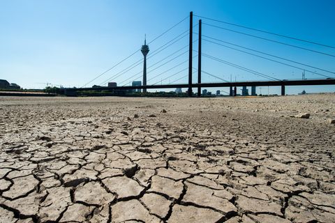 Nordrhein-Westfalen, Düsseldorf: Die Erde im Flussbett des Rheins ist aufgrund der Dürre ausgetrocknet und aufgerissen.