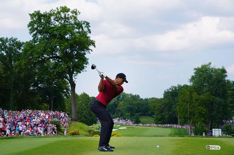 Tiger Woods