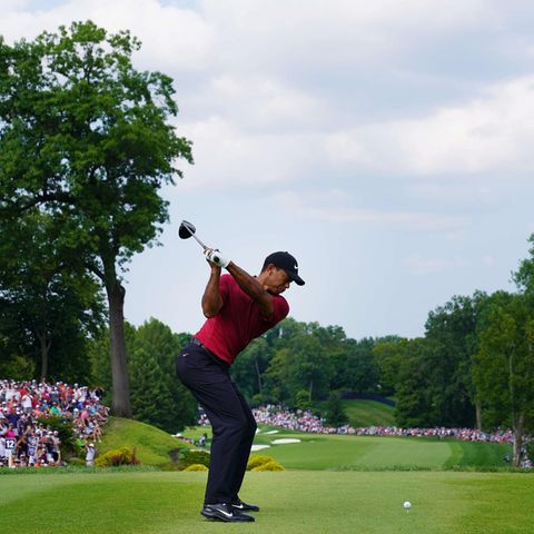 Tiger Woods