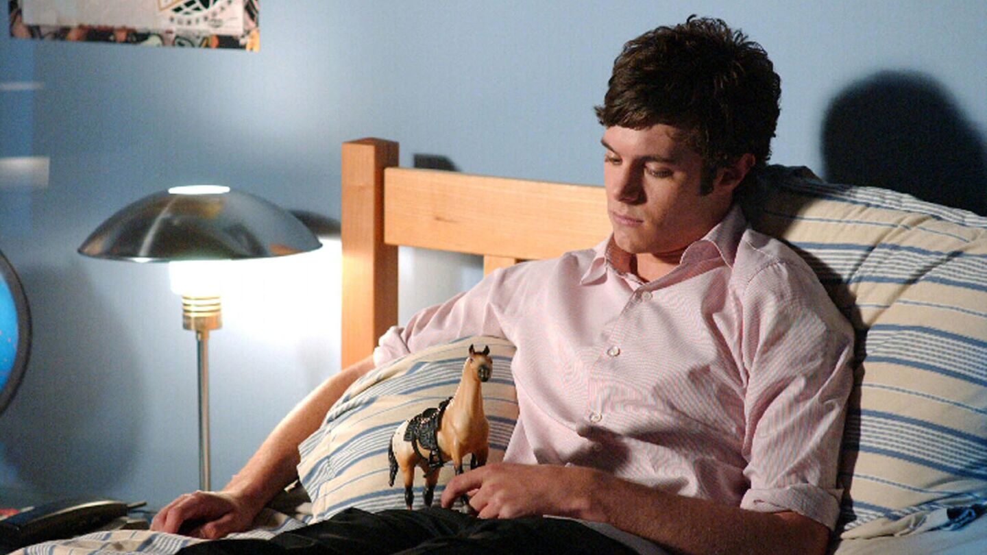 Was wurde aus den Stars von "O.C., California"?