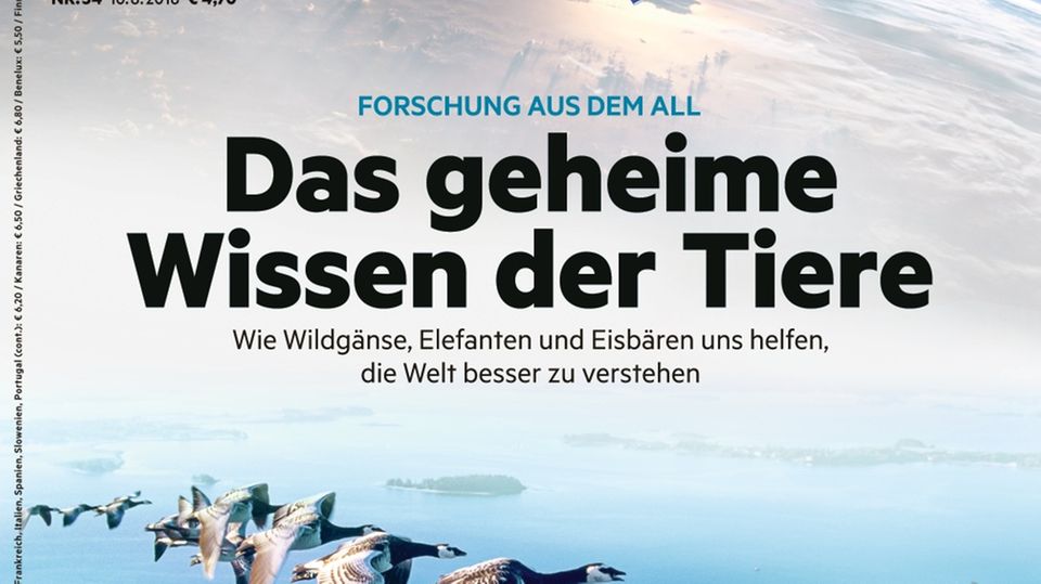 "Hier is Strom inne Tapete": Die gute, alte Trinkhalle - Einblick in eine Welt von Geborgenheit, Sorgen und Selbstausbeutung