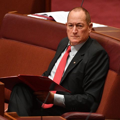 Empörung über Nazi-Formulierung von australischem Senator in Einwanderungsdebatte