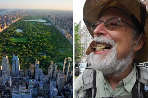 Steve Brill, der in New Yorker Parks Pflanzen und ihre Verwendung beim Kochen erklärt, hält einen Dachpilz zwischen den Zähnen, den er an einem Baumstumpf am Central Park (links) entdeckt hat.