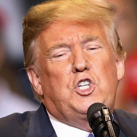 Donald Trump Freepress