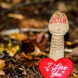 Stockfotos aus der Hölle