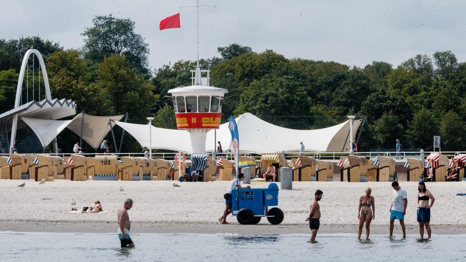 nachrichten deutschland - quallen travemünde