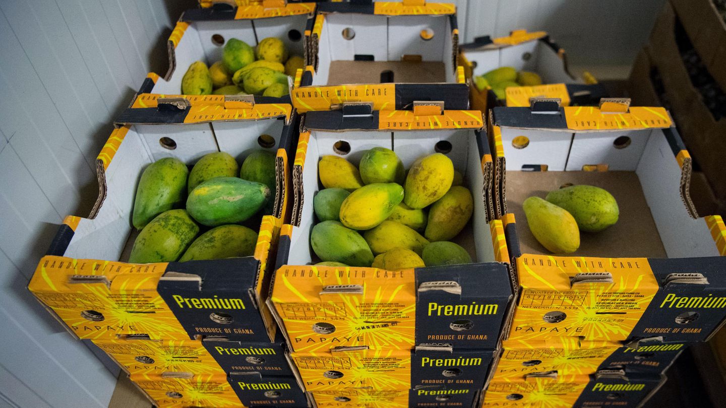 Papaya liegen in einer Bertriebshalle der Schuhmacher GmbH