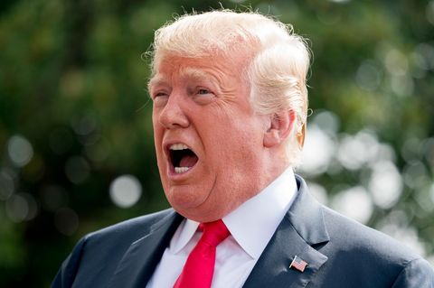 Trump reagierte mit verärgerten Twitter-Beiträge auf einen Bericht auf der "New York Times"