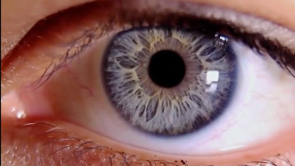 Die Verlockung in meiner Tasche: Mein Smartphone kämpft gegen mich und ich kämpfe gegen mein Smartphone Die Verlockung in meiner Tasche: Mein Smartphone kämpft gegen mich und ich kämpfe gegen mein Smartphone