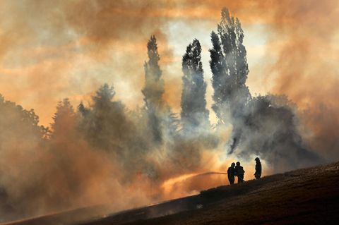 Feuerwehrleute löschen bei Rostock ein Getreidefeld