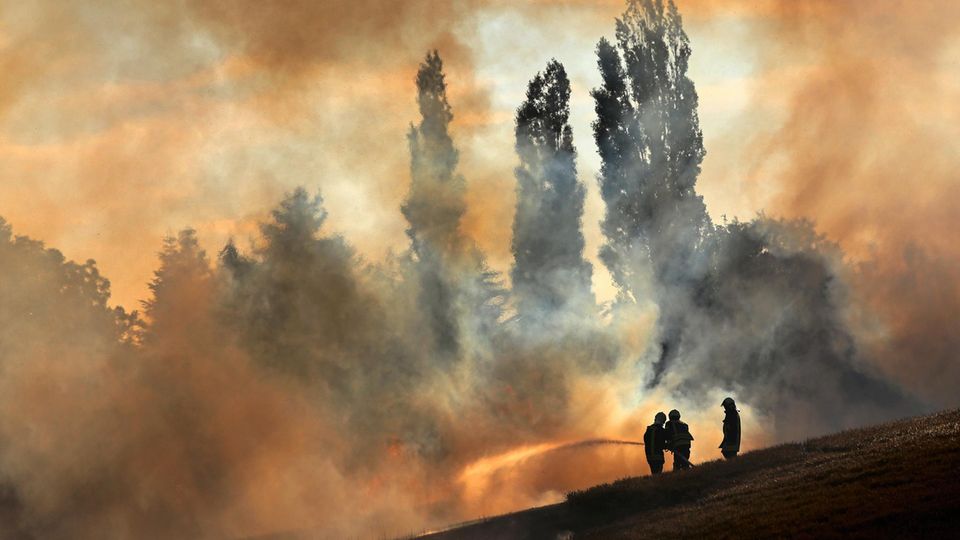 Feuerwehrleute löschen bei Rostock ein Getreidefeld