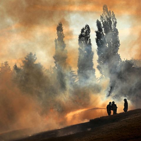 Feuerwehrleute löschen bei Rostock ein Getreidefeld