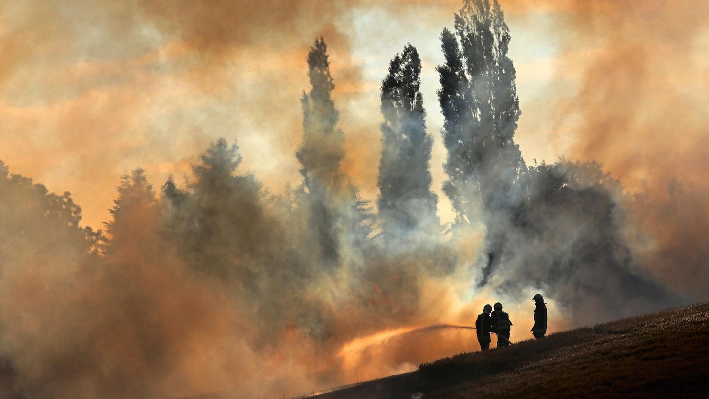 Feuerwehrleute löschen bei Rostock ein Getreidefeld