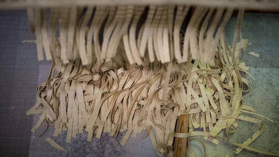Alte Nudelmanufaktur - neues Produkt: Da sind Insekten im Teig. Eine Nudelmanufaktur, die u.a. für die Plumento Food GmbH produziert, trocknet die Pasta auf einem Rahmen. Da sind Insekten im Teig. Eine Nudelmanufaktur, die u.a. für die Plumento Food GmbH produziert, trocknet die Pasta auf einem Rahmen.