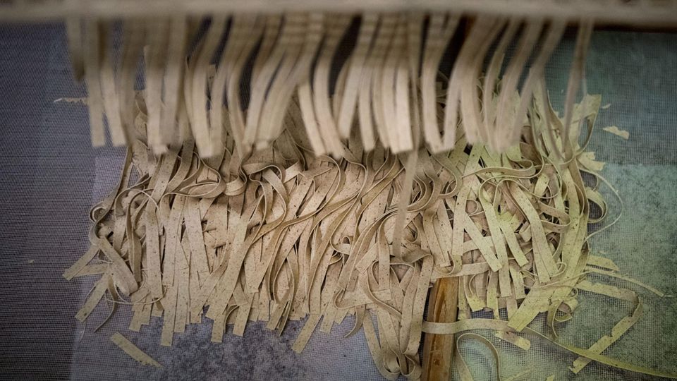 Da sind Insekten im Teig. Eine Nudelmanufaktur, die u.a. für die Plumento Food GmbH produziert, trocknet die Pasta auf einem Rahmen.
