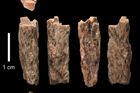 Diese Knochen beweisen, dass die Neandertaler sich mit den Denisovanern paarten 