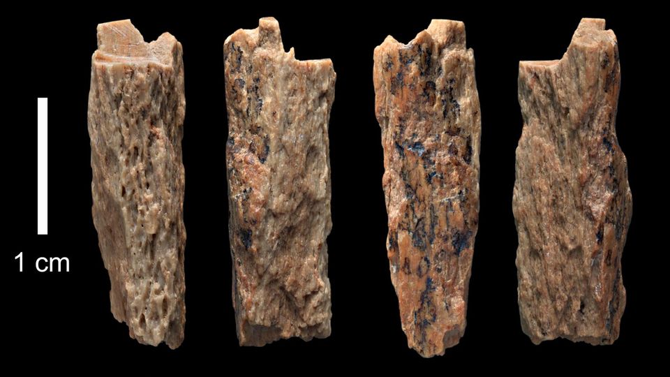 Diese Knochen beweisen, dass die Neandertaler sich mit den Denisovanern paarten 
