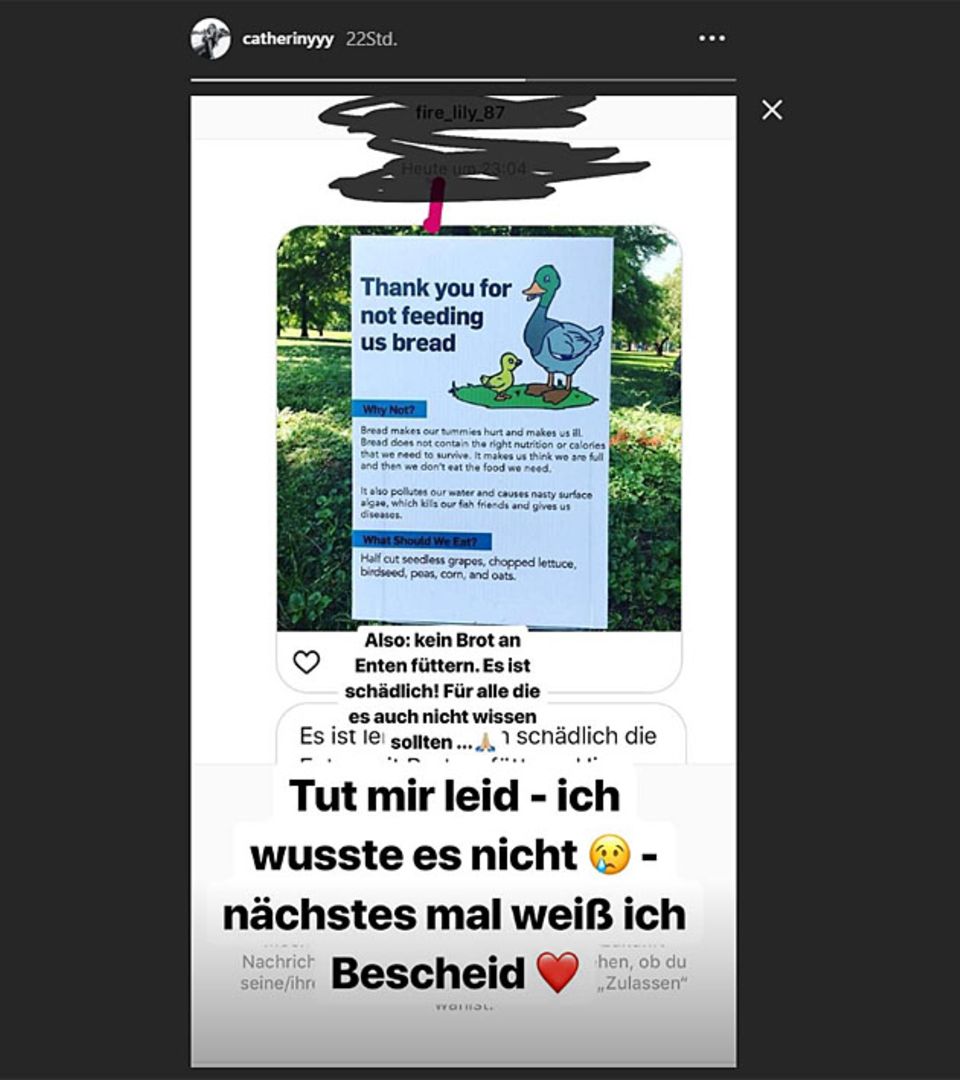 Frau von Mats Hummels: Die Instagram-Story von Cathy Hummels Die Instagram-Story von Cathy Hummels